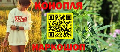 Альфа ПВП Краснокаменск