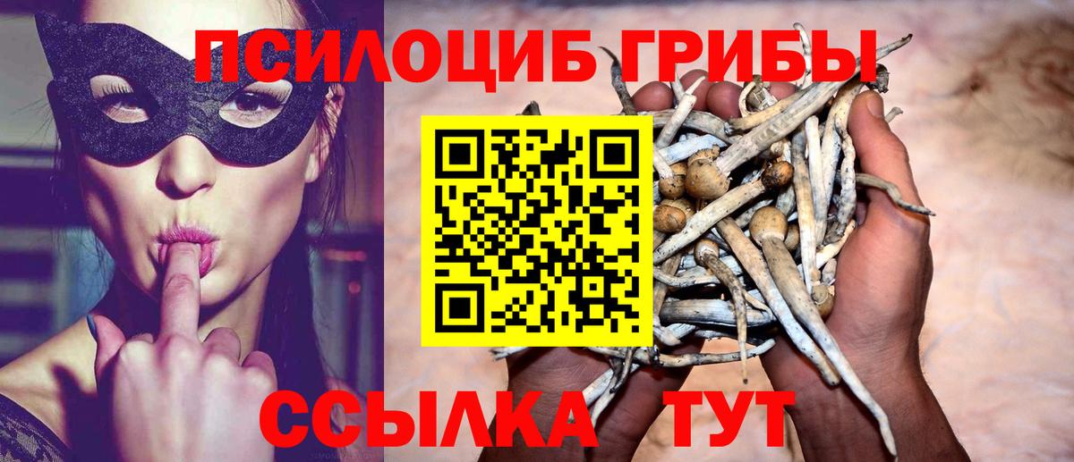 Галлюциногенные грибы GOLDEN TEACHER Кизилюрт