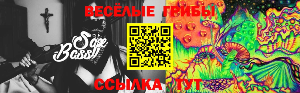 Галлюциногенные грибы Psilocybe  Вход с VPN  Псилоцибиновые грибы мицелий  Кизилюрт 